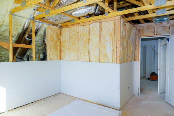 Best Insulation Contractor Near Me  in Bunkie, LA