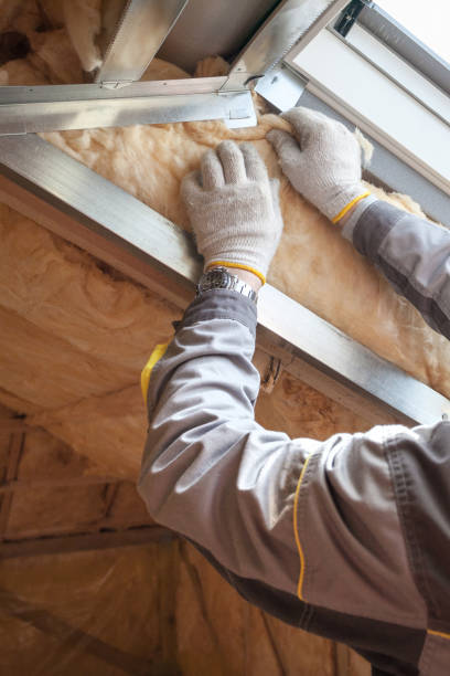 Best Spray Foam Insulation  in Bunkie, LA