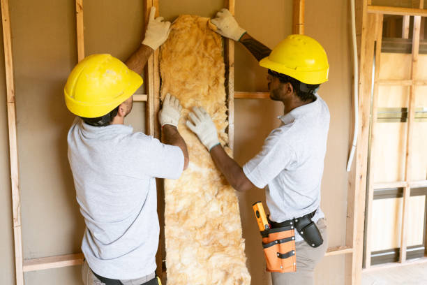 Best Insulation Installation Cost  in Bunkie, LA