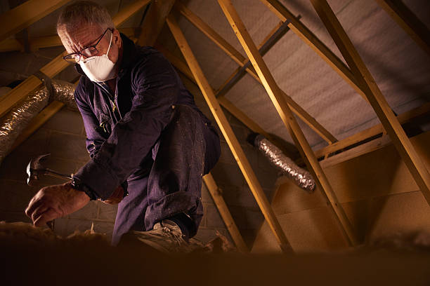 Best Insulation Repair Services  in Bunkie, LA