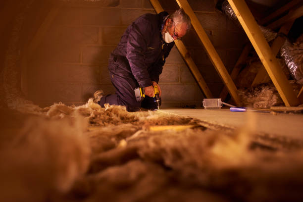 Best Garage Insulation Installation  in Bunkie, LA